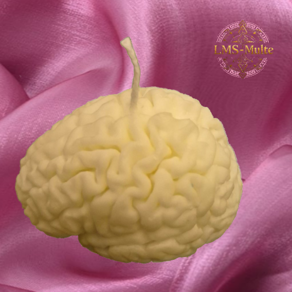 The Brain Candle