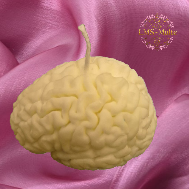 The Brain Candle