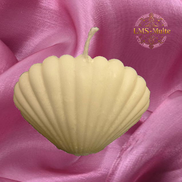 The Little Shell Candle